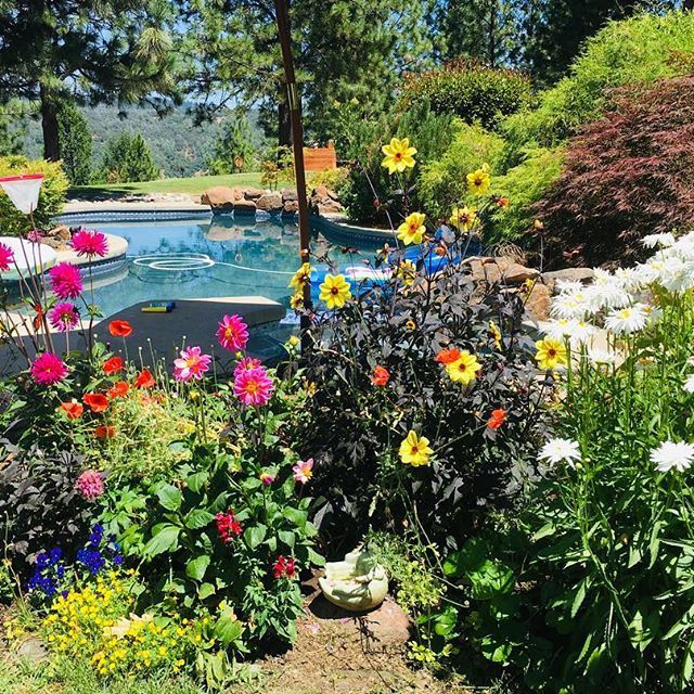 Paradise Garden Stairs Photograph