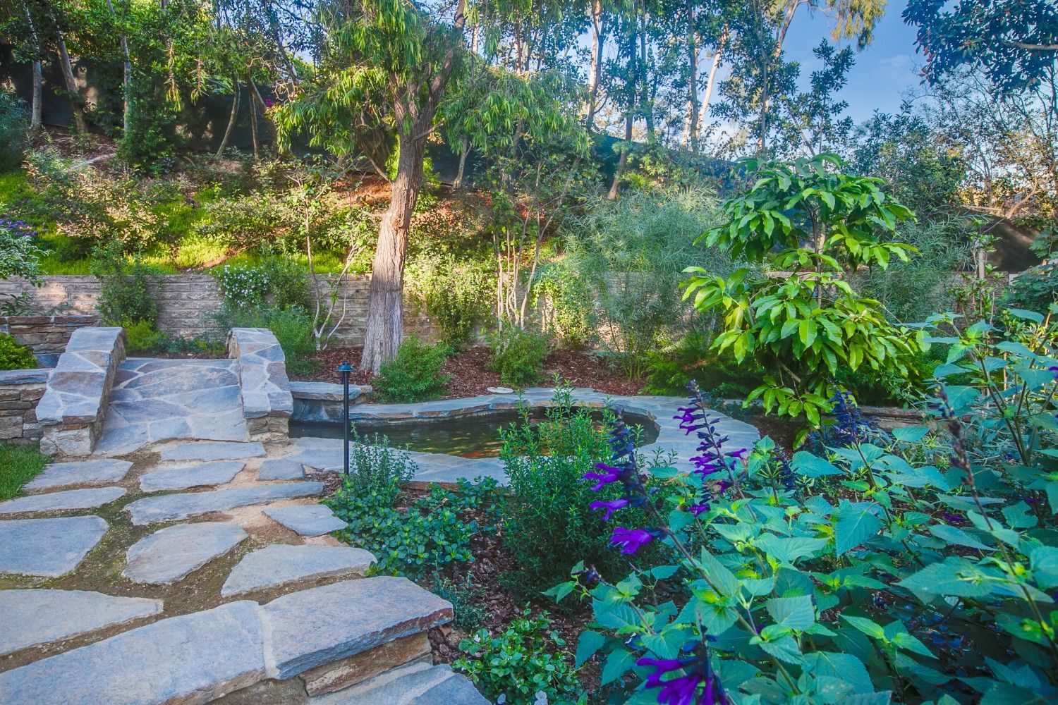 Tropical Paradise Tropical Landscaping