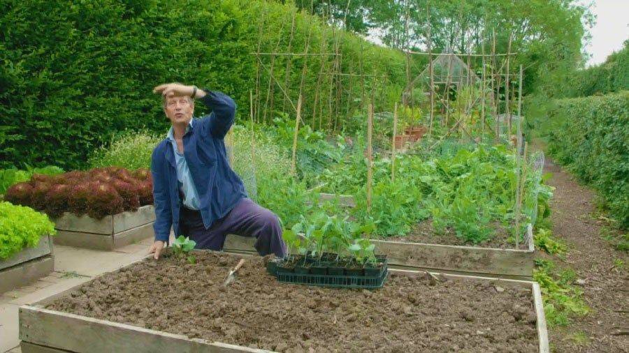 Gardeners Worlds Monty Don Advice