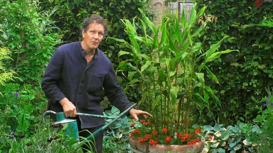 Gardeners World Episode Hdclump Gardeners World