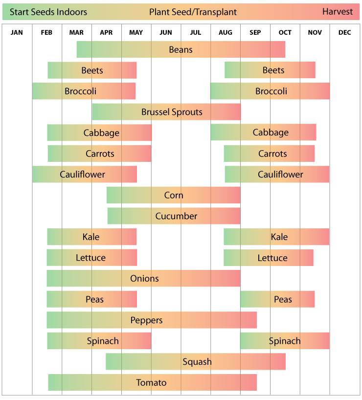 Garden Charts Printables Ideas