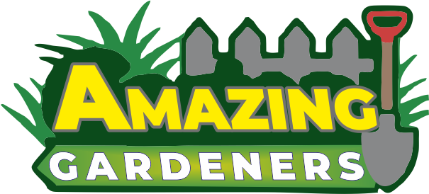 Bbc Gardeners World Magazine