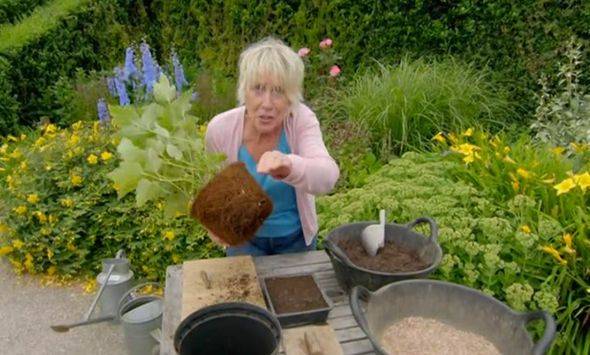 Bbc Two Gardeners World