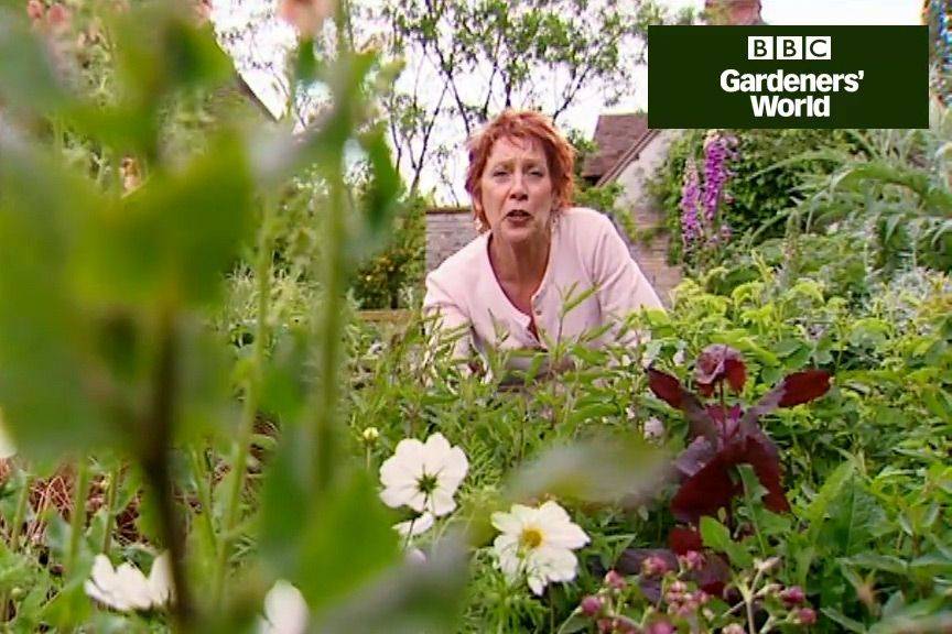 Carol Kleins First Gardeners World