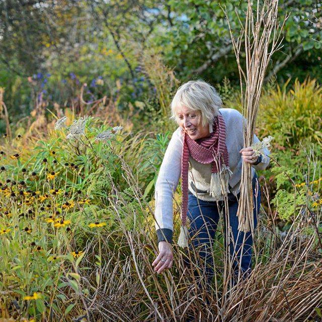 Carol Klein Great Gardening Websites
