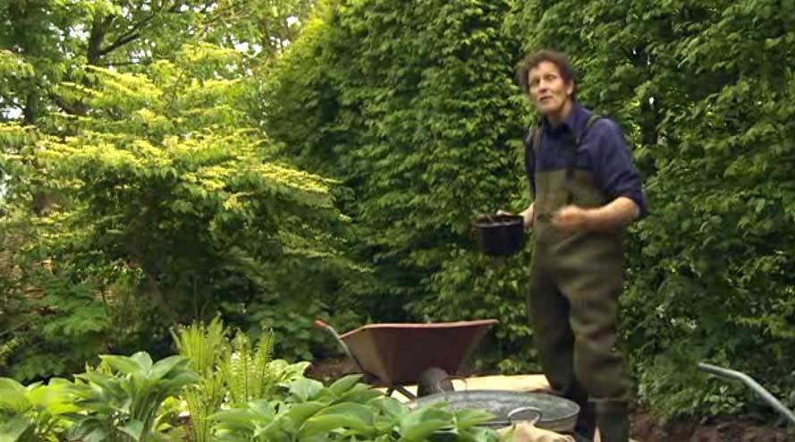 A Small Garden Bbc Gardeners World Magazine