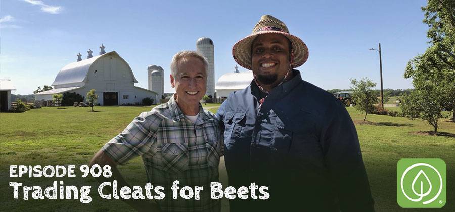 Natural Pest Control Growing A Greener World Tv
