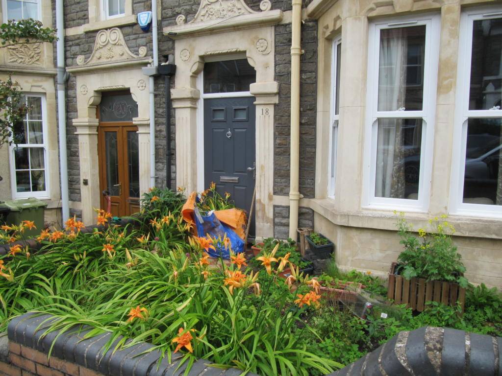 Aruncus Aethusifolius Front Garden Landscape