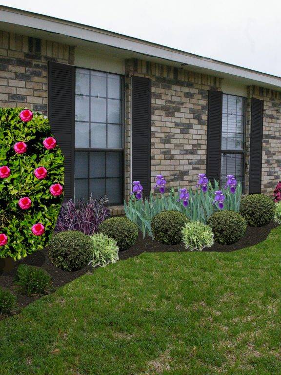 Colourful Northfacing Front Garden