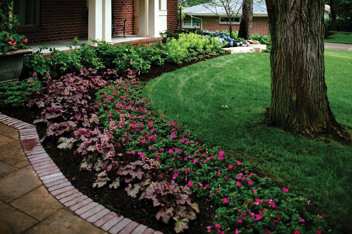 A North Facing Front Yard Front Yard Landscaping Design