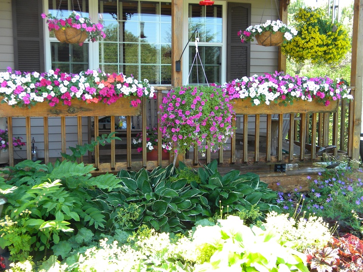 18 Plants for North Facing Garden Ideas Worth to Check SharonSable