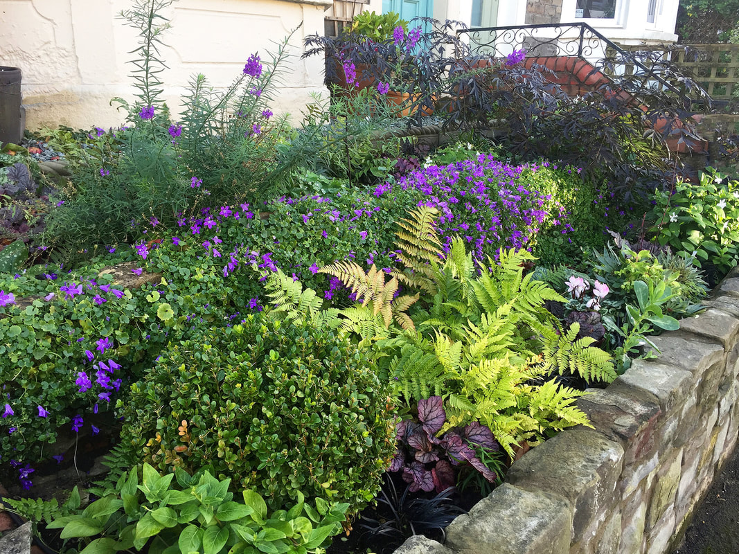 Pin Di Shash Su Landscaping Idee Di Giardinaggio