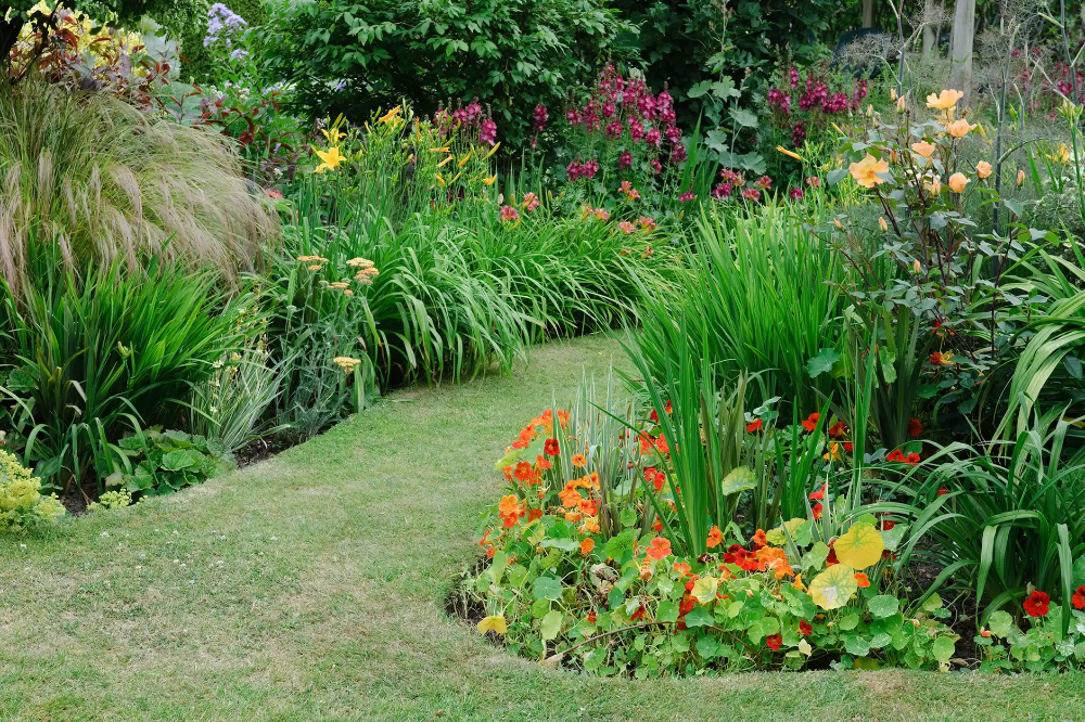 North Facing Front Garden Ideas North Facing Garden