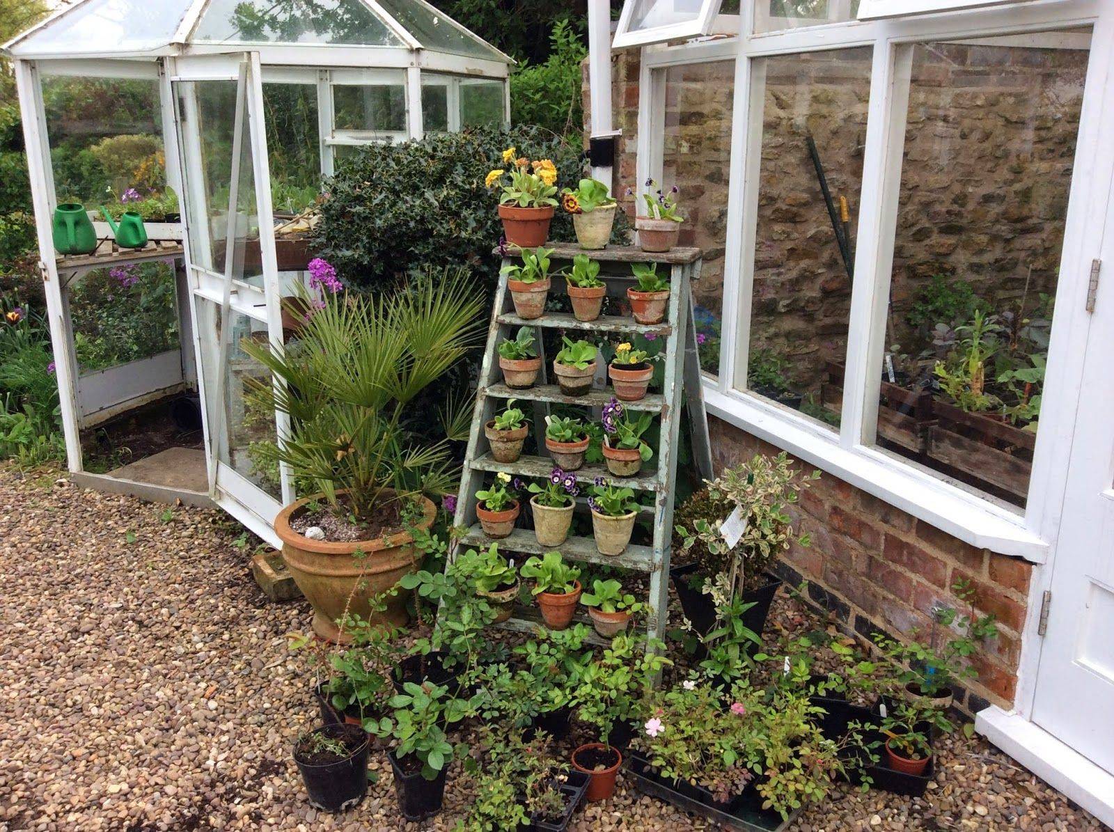 A Fabulous North Facing London Garden London Garden