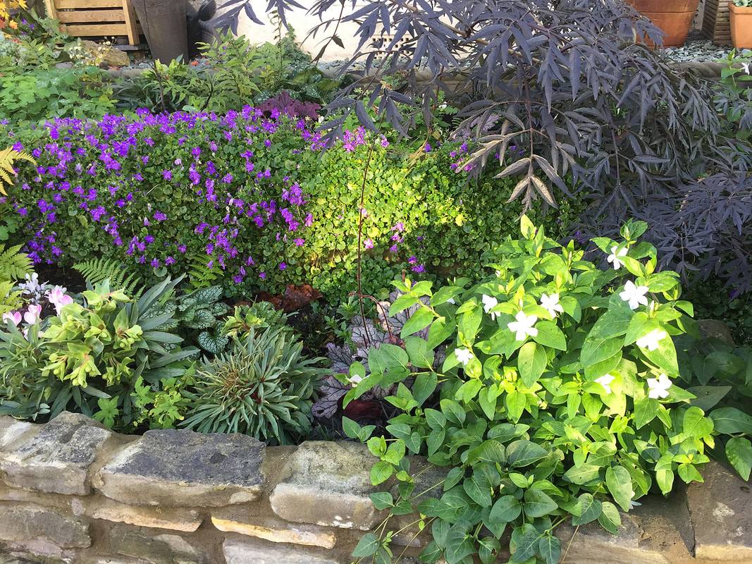 A Northfacing Shady Garden Houzz Uk