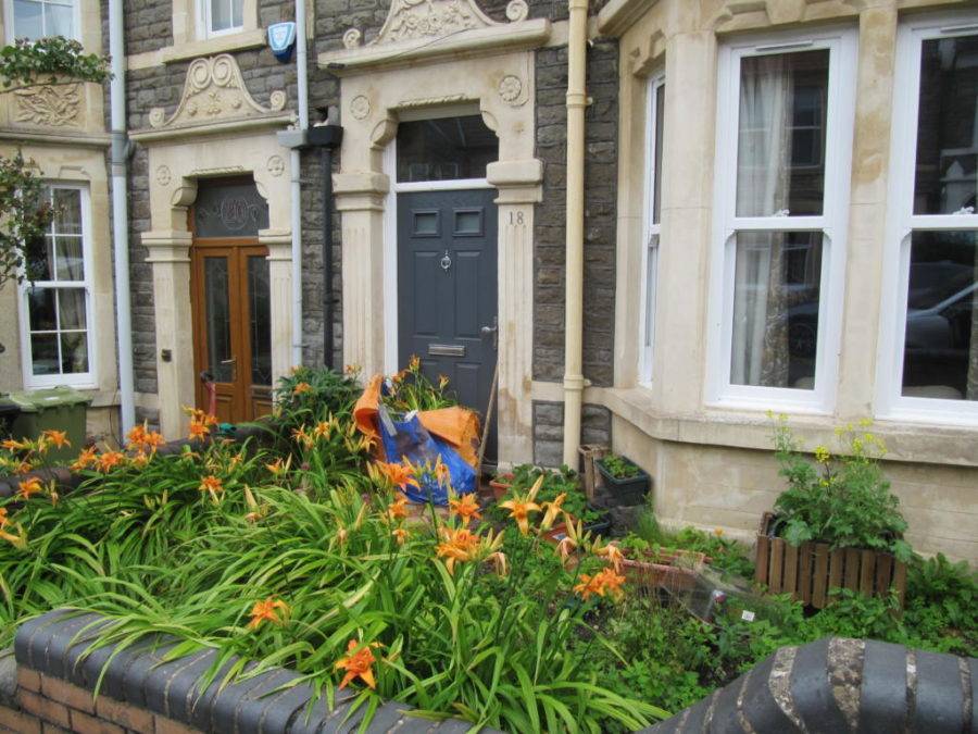 North Facing Border North Facing Garden