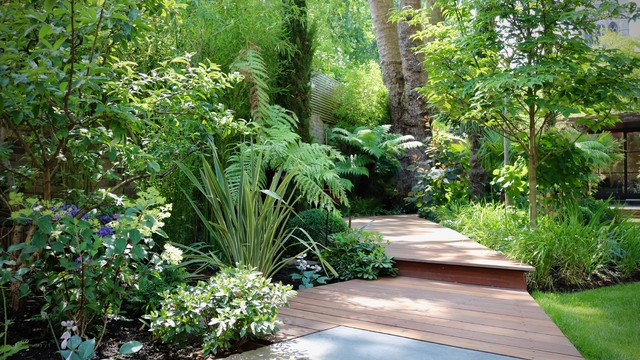 Northfacing Garden Ideas