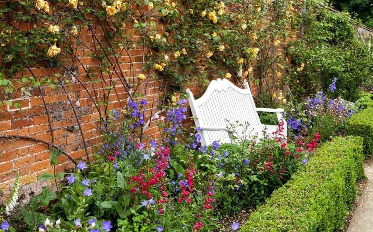 Best Perennial Flowers Sunset Magazine