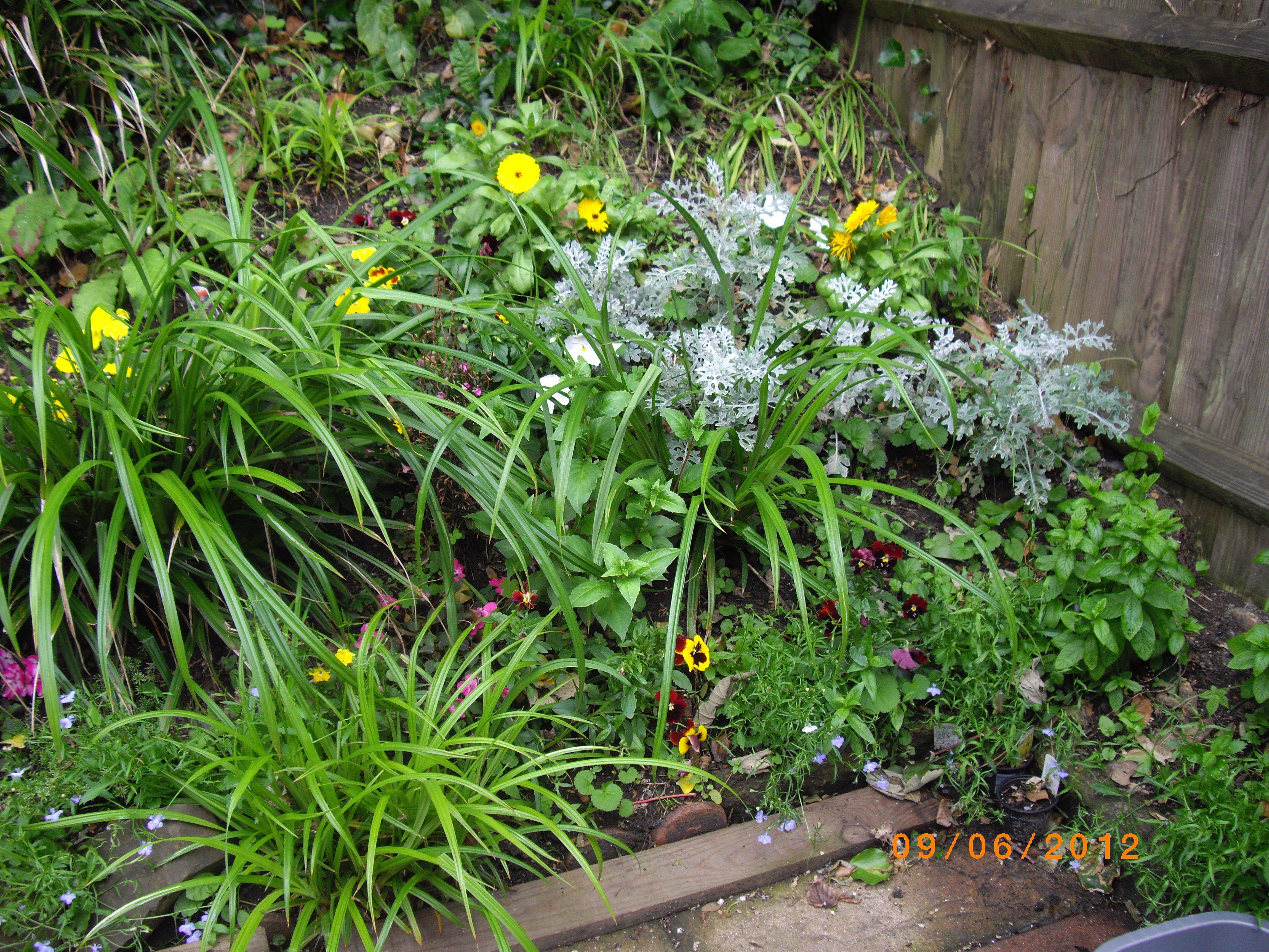 Narrow Borders