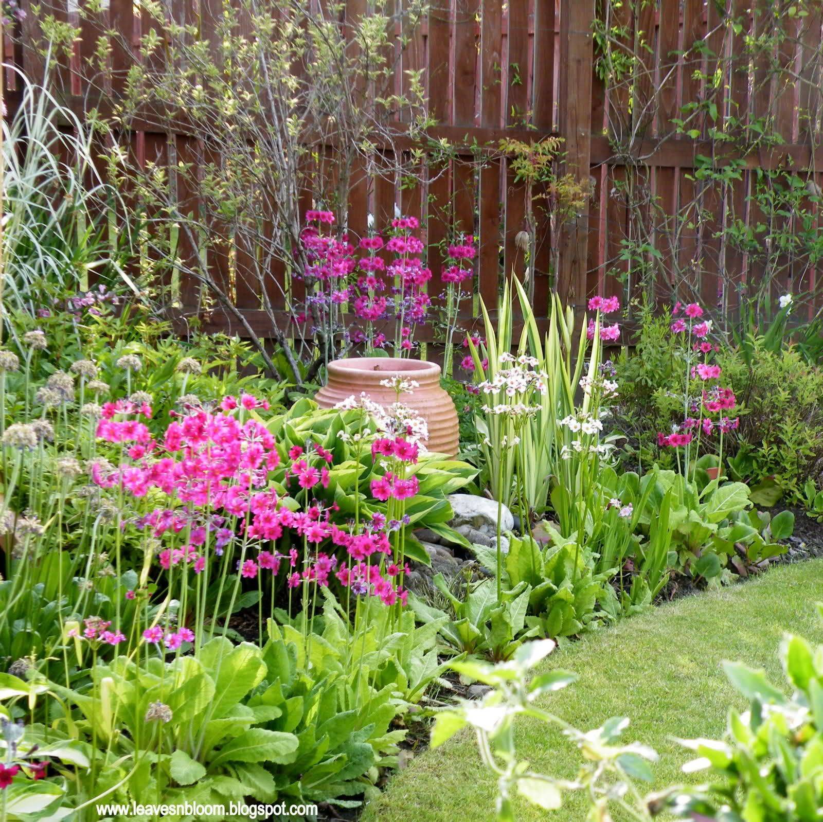 September Plants