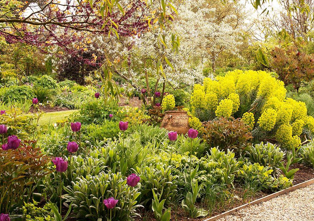 20 North Facing Perennial Garden Plants Ideas To Consider SharonSable