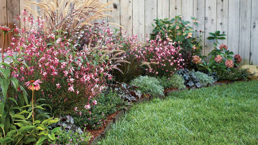 20 North Facing Perennial Garden Plants Ideas To Consider SharonSable