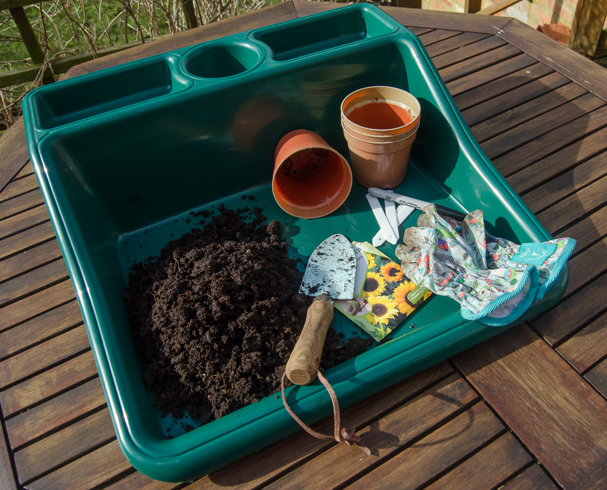 Those Seed Packets