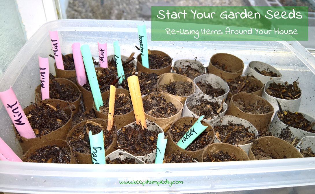 The Best Seed Planting Tools