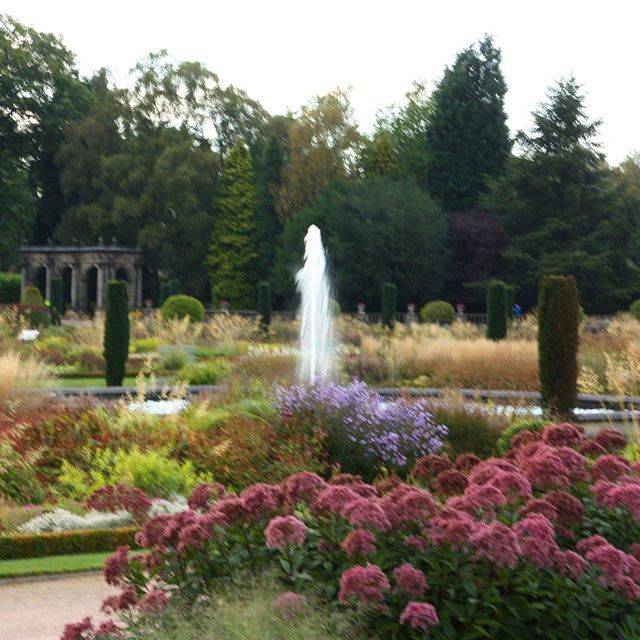 Trentham Estate August Achtertuin Planten Natuurlijke Tuin