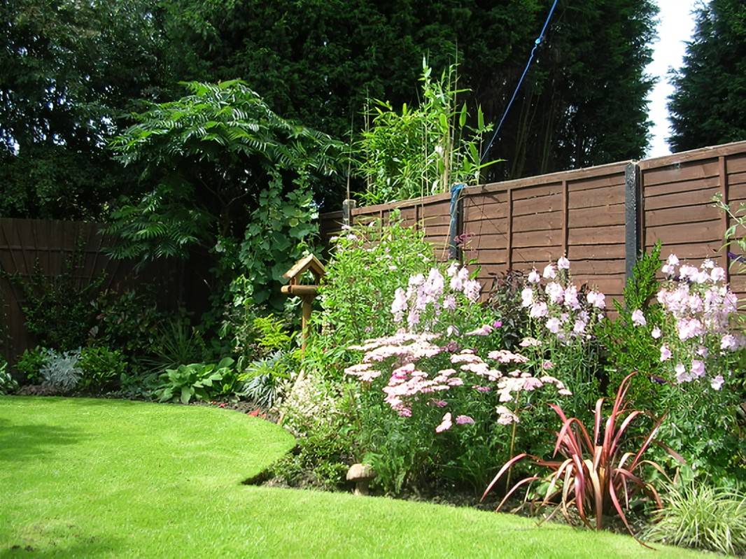 Garden Plant Ideas