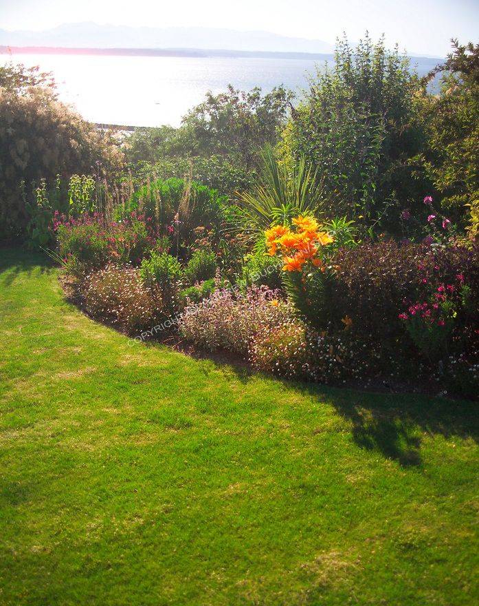 The Best Small North Facing Garden Ideas Ideas