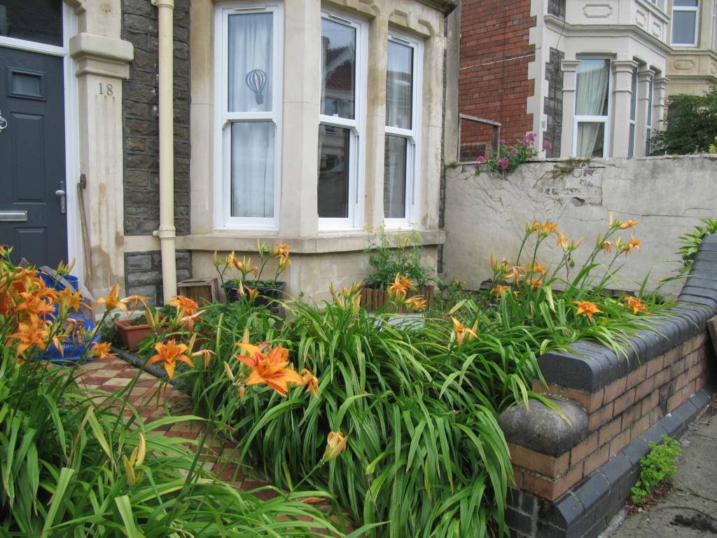 18 North Facing Garden Design Ideas You Should Check SharonSable