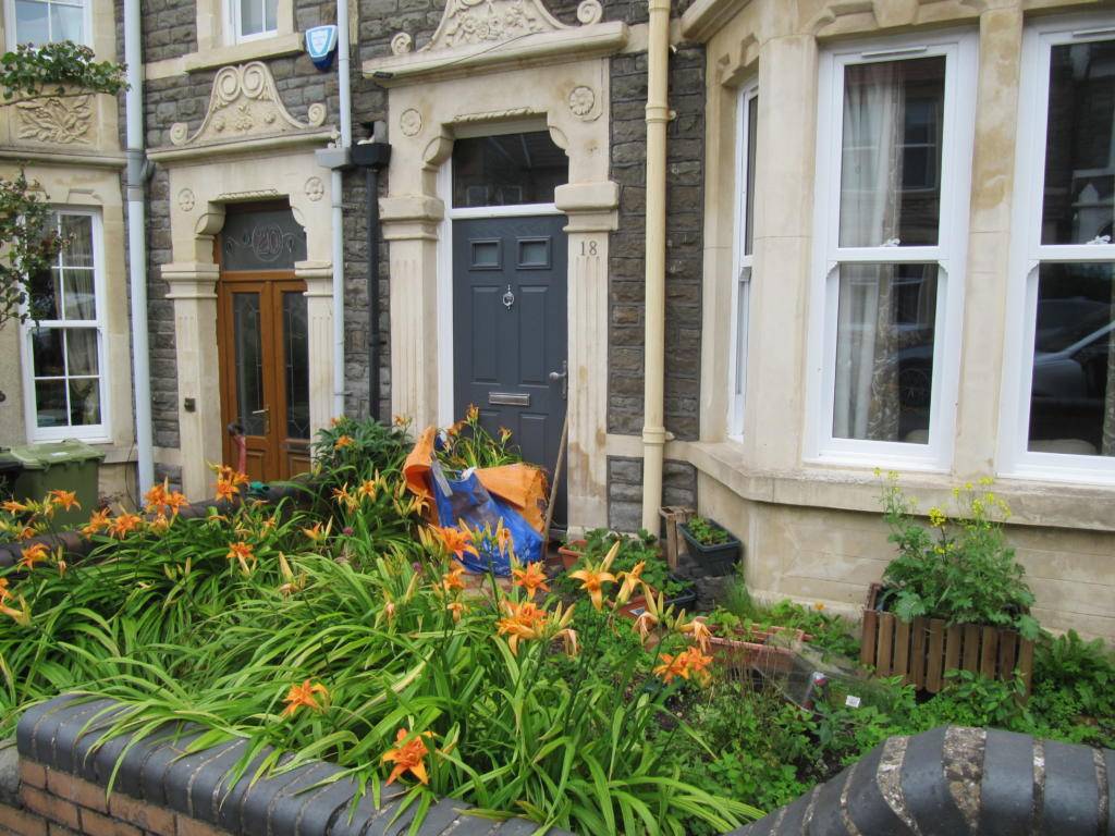 Small Garden Ideas North Facing Home Designing