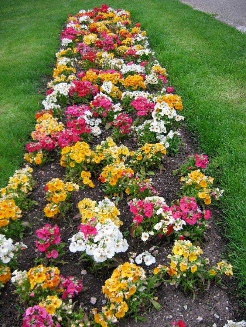 Garden With Full Sun Flower Beds Beautiful Bed Design Throughout
