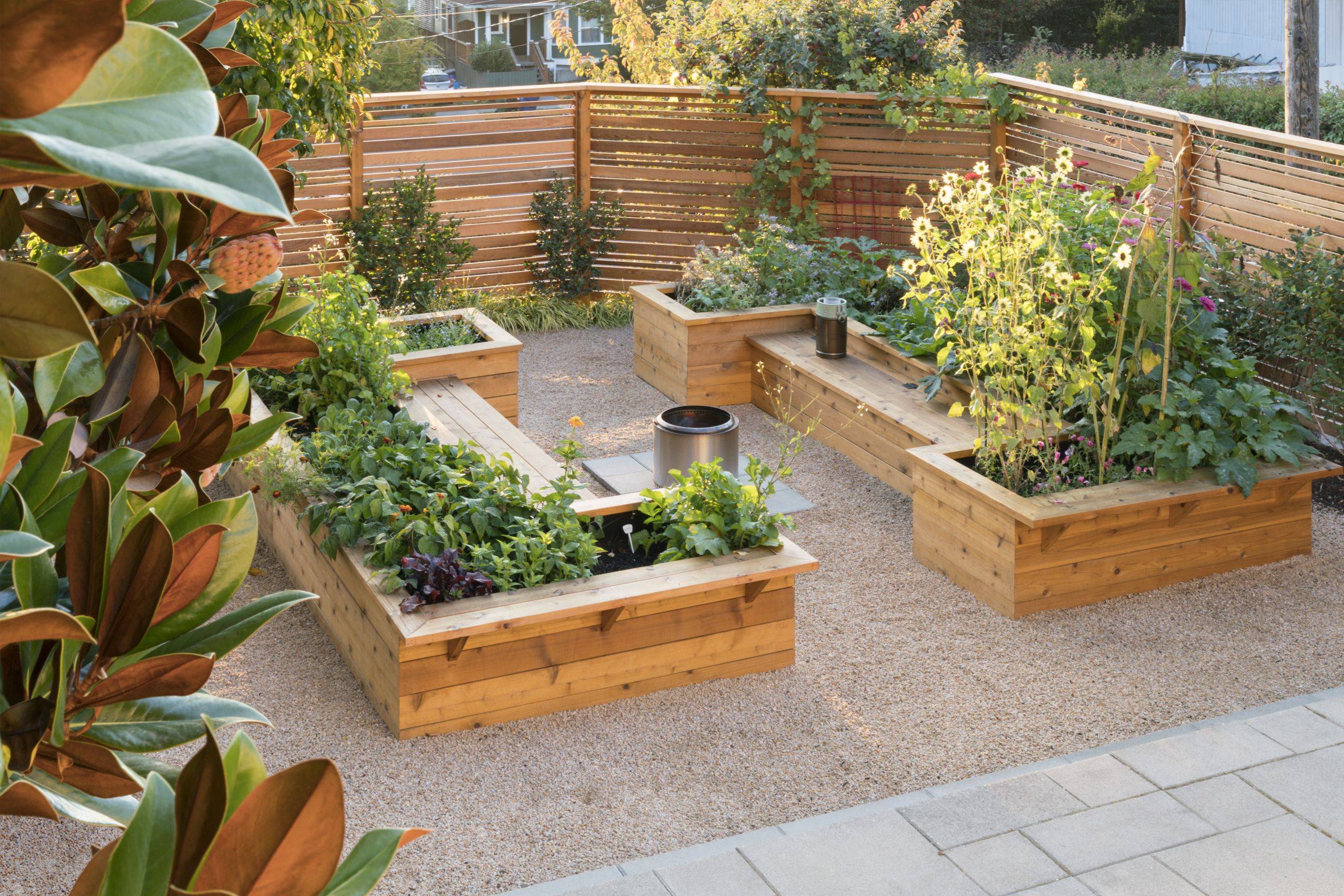 Interesting Vegetable Garden Ideas