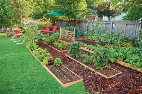 Edible Landscaping