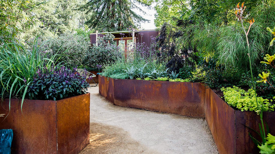 An Urban Vegetable Garden