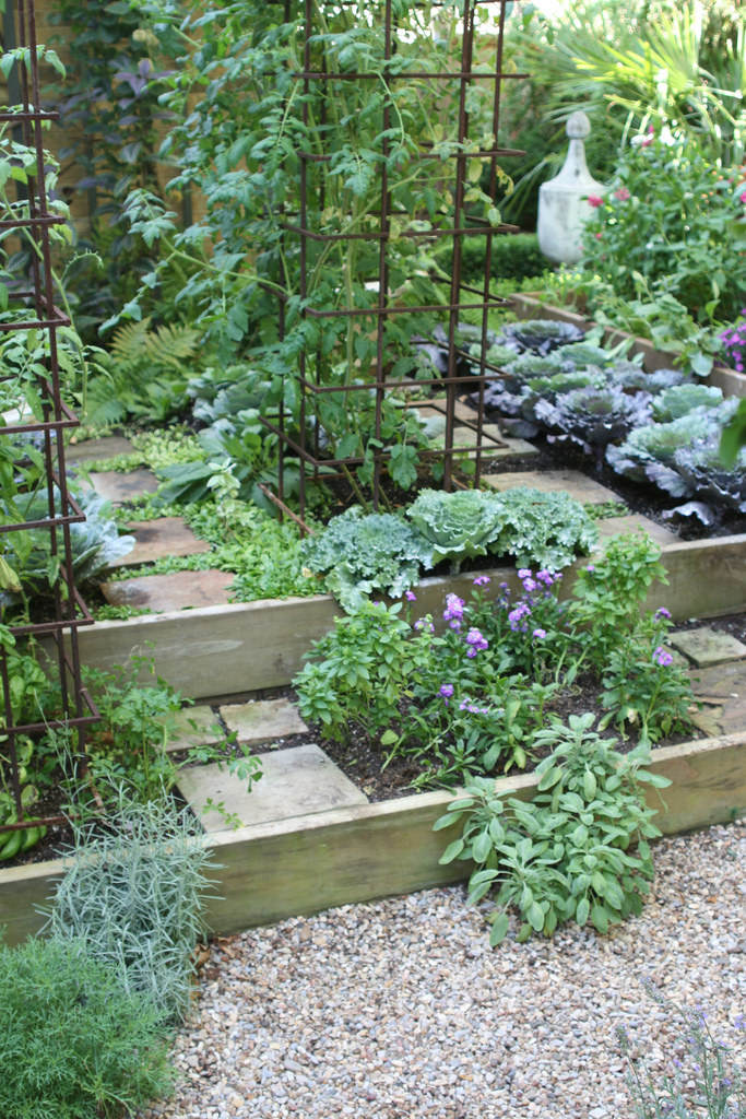 Homestead Design Collective