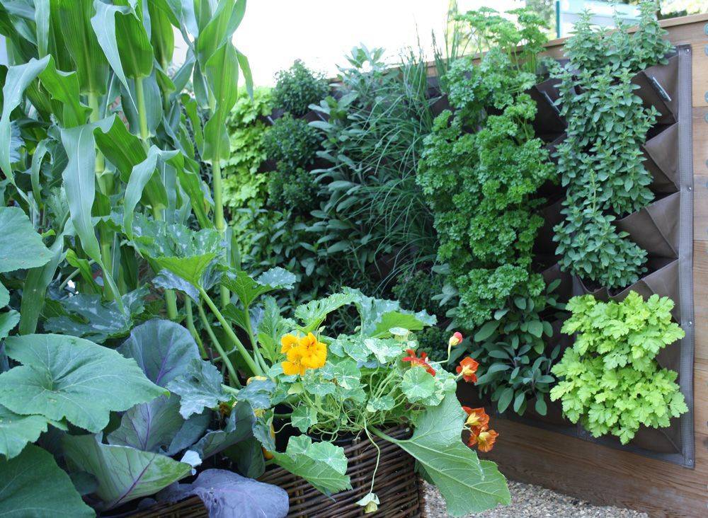 Marvelous Fall Container Garden Ideas