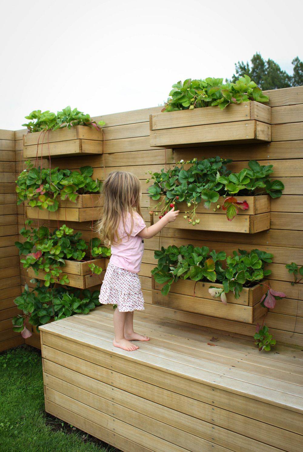 21 Vertical Edible Garden Ideas To Try This Year SharonSable