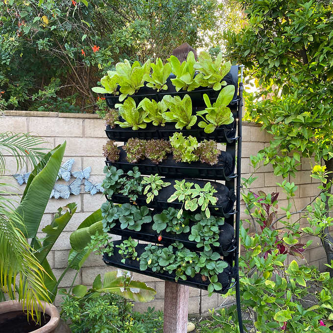 Edible Urban Garden Ideas