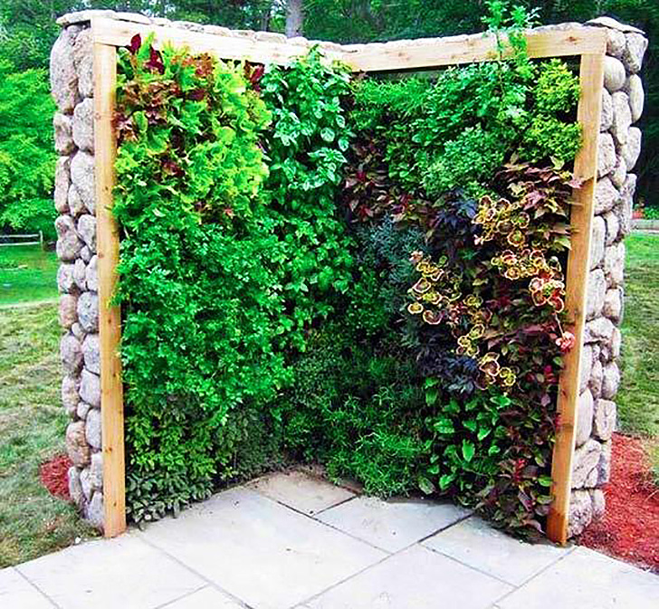 Vertical Vegetable Gardens