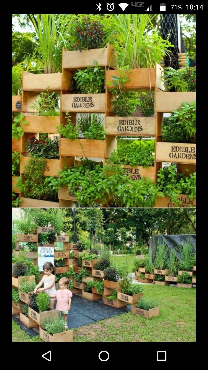 Vertical Vegetable Gardens