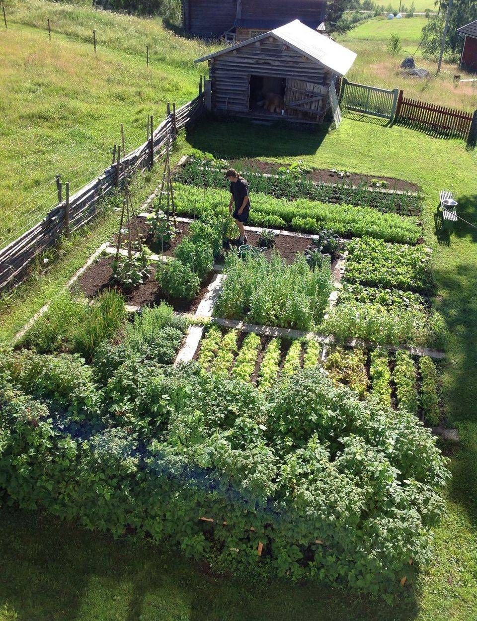Inspiring Homestead Farm Garden Layout