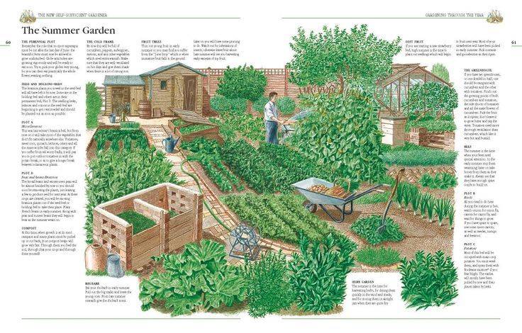 Farm Layout Design Ideas
