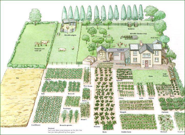 Farm Layout Design Ideas
