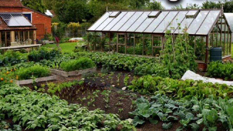 Farm Layout Design Ideas