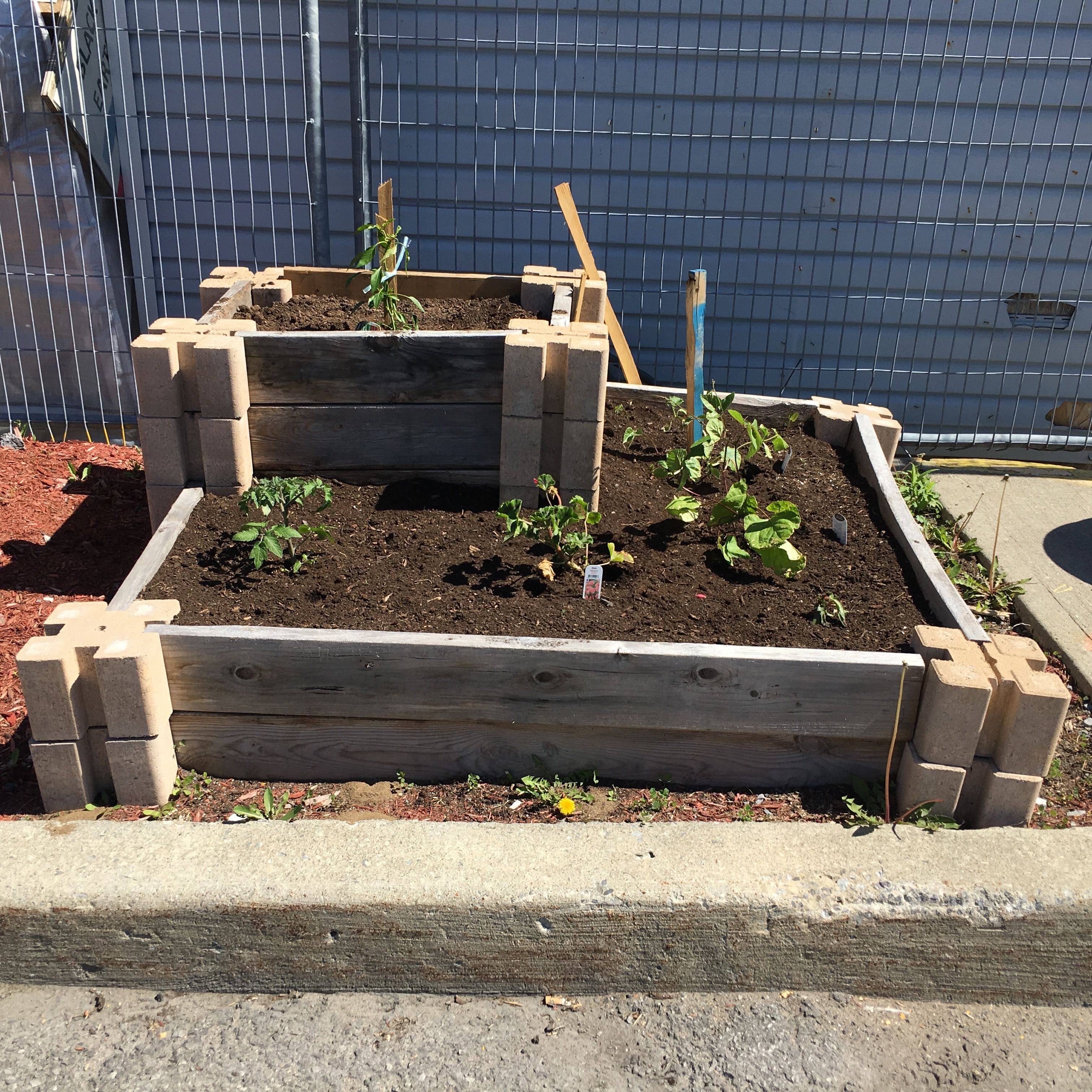 Raised Bed Garden Design Ideas