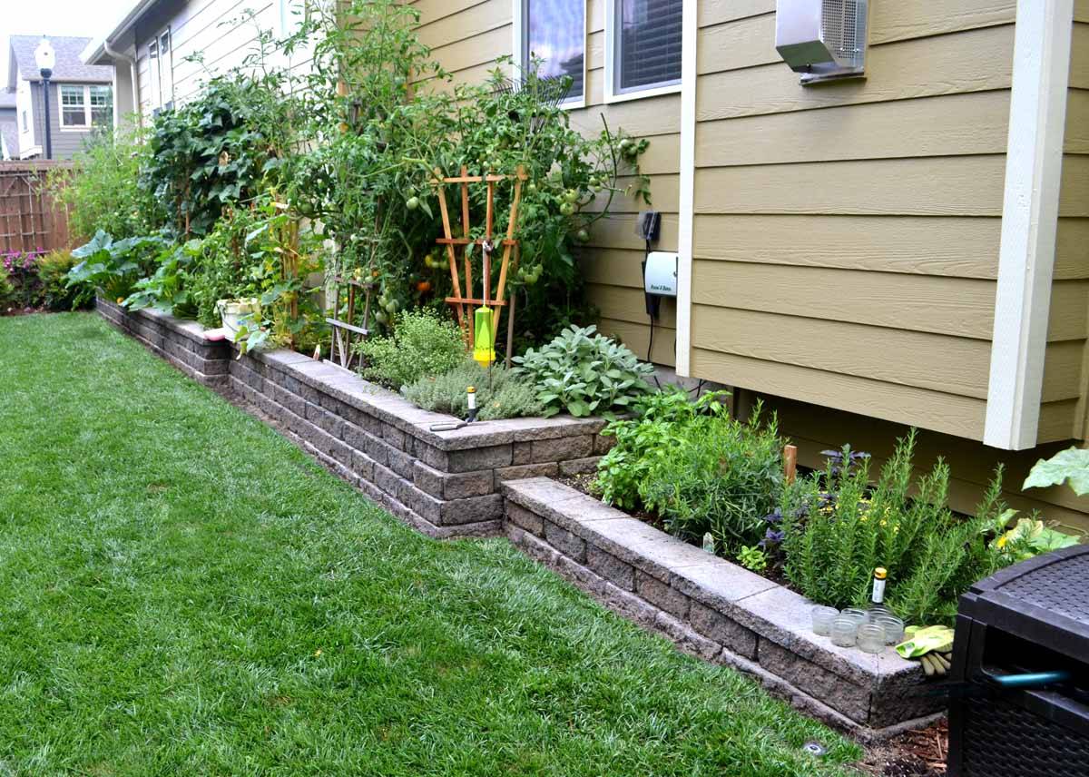 Pin On Gardening