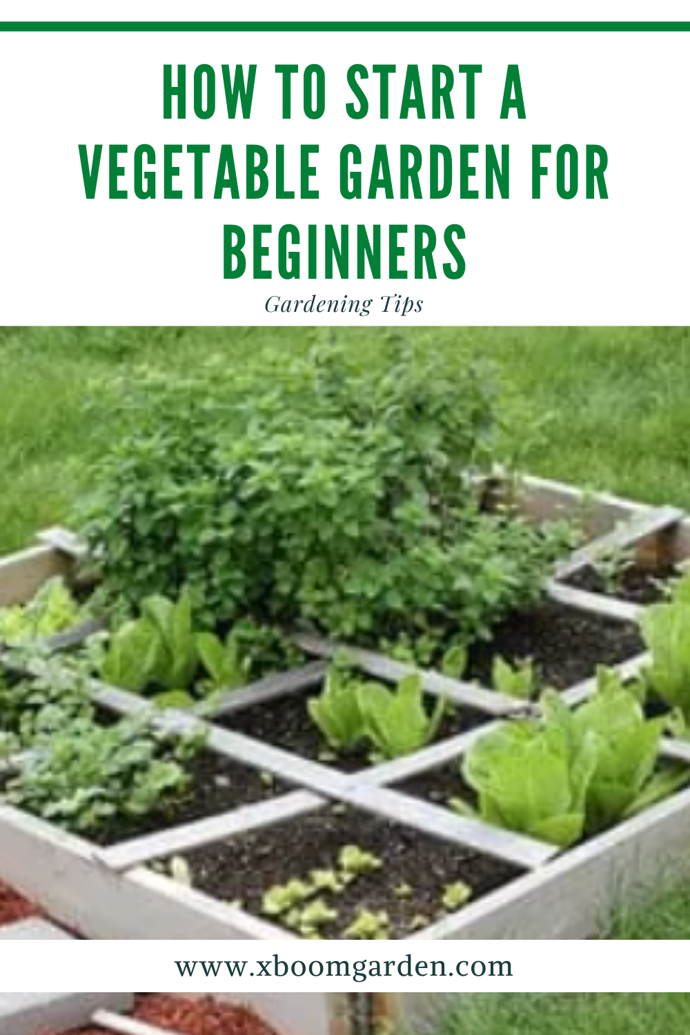 A Raised Bed Garden